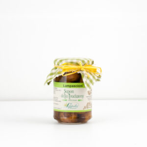 Lampascioni Sott’Olio
